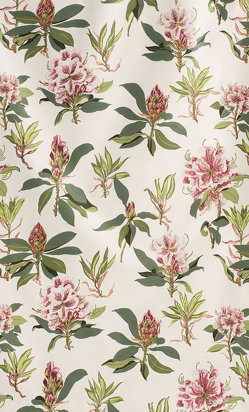 Rhododendron Sprig Fabric – 100% Cotton Chintz, Green, Pink