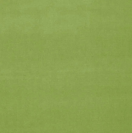 Solid green color swatch with a textured pattern
Gainsborough Velvet Fabric