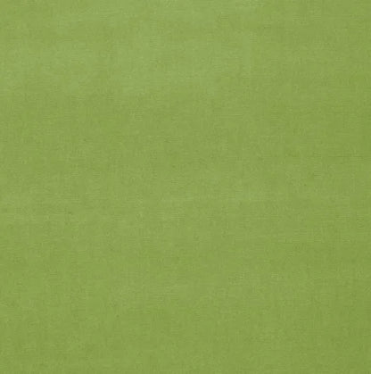 Solid green color swatch with a textured pattern
Gainsborough Velvet Fabric