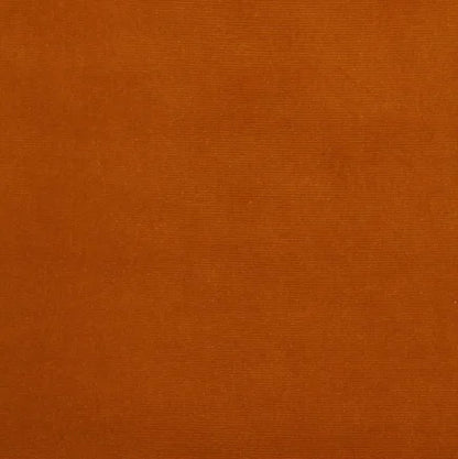 Solid orange color swatch with a textured surface
Gainsborough Velvet Fabric
