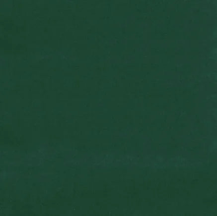 Solid dark green color swatch
Gainsborough Velvet Fabric