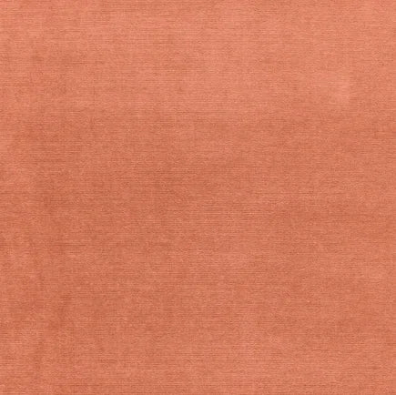 Solid terracotta-colored fabric texture swatch
Gainsborough Velvet Fabric