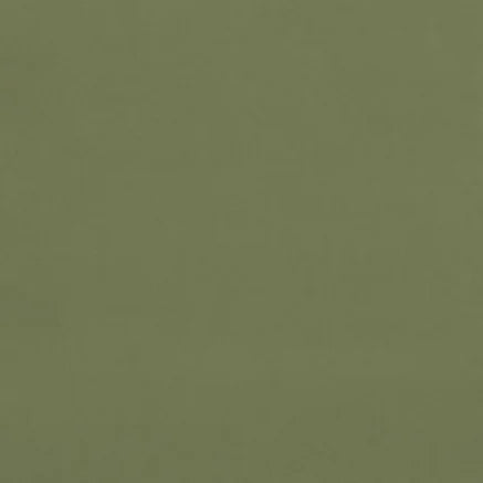Solid green color swatch
Gainsborough Velvet Fabric