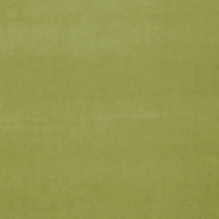 Solid green color swatch
Gainsborough Velvet Fabric