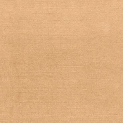 Beige fabric texture swatch
Gainsborough Velvet Fabric