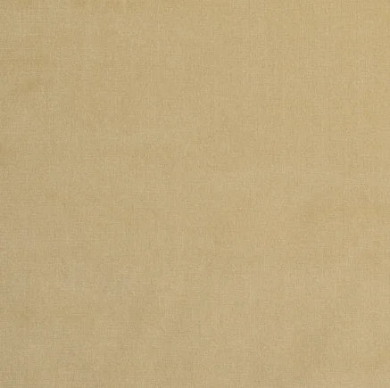 Beige fabric texture swatch
Gainsborough Velvet Fabric