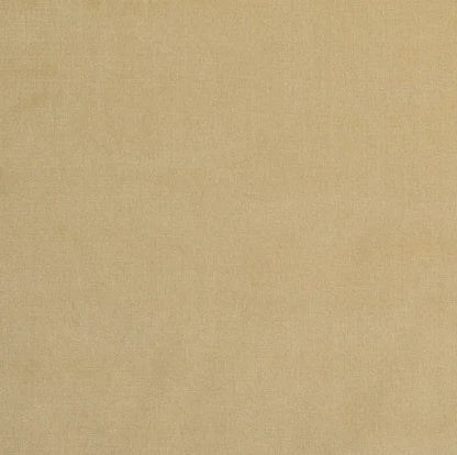 Beige fabric texture swatch
Gainsborough Velvet Fabric