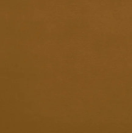 Solid brown color swatch
Gainsborough Velvet Fabric