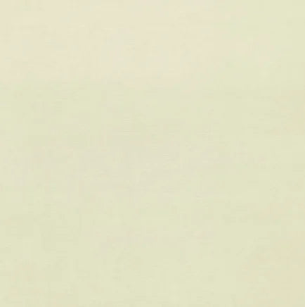 Solid light beige color swatch
Gainsborough Velvet Fabric