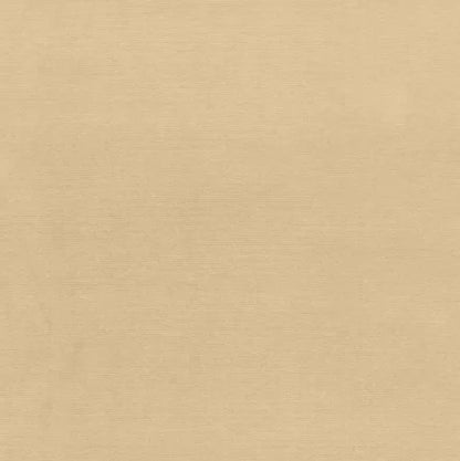 Beige color swatch with a subtle texture pattern
Gainsborough Velvet Fabric