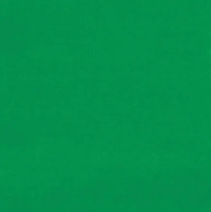 Solid green color swatch
Gainsborough Velvet Fabric