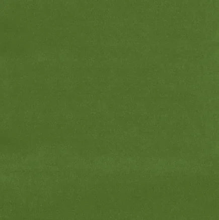 Solid green color swatch
Gainsborough Velvet Fabric