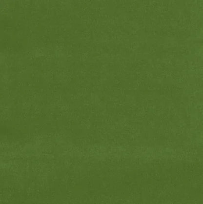 Solid green color swatch
Gainsborough Velvet Fabric