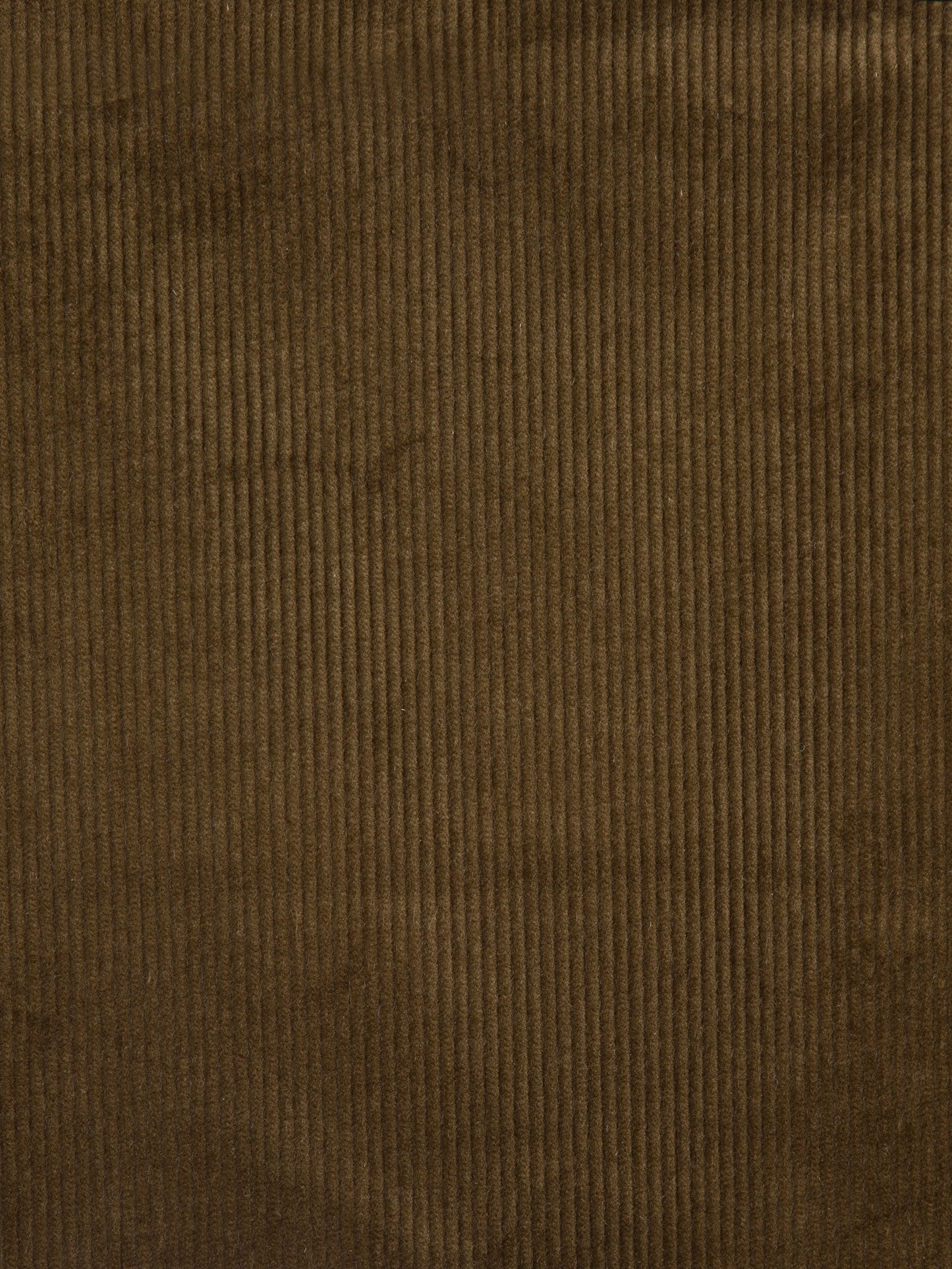 Heavy Cotton Corduroy – Fustian Fabric for Upholstery & Interiors, Lichen