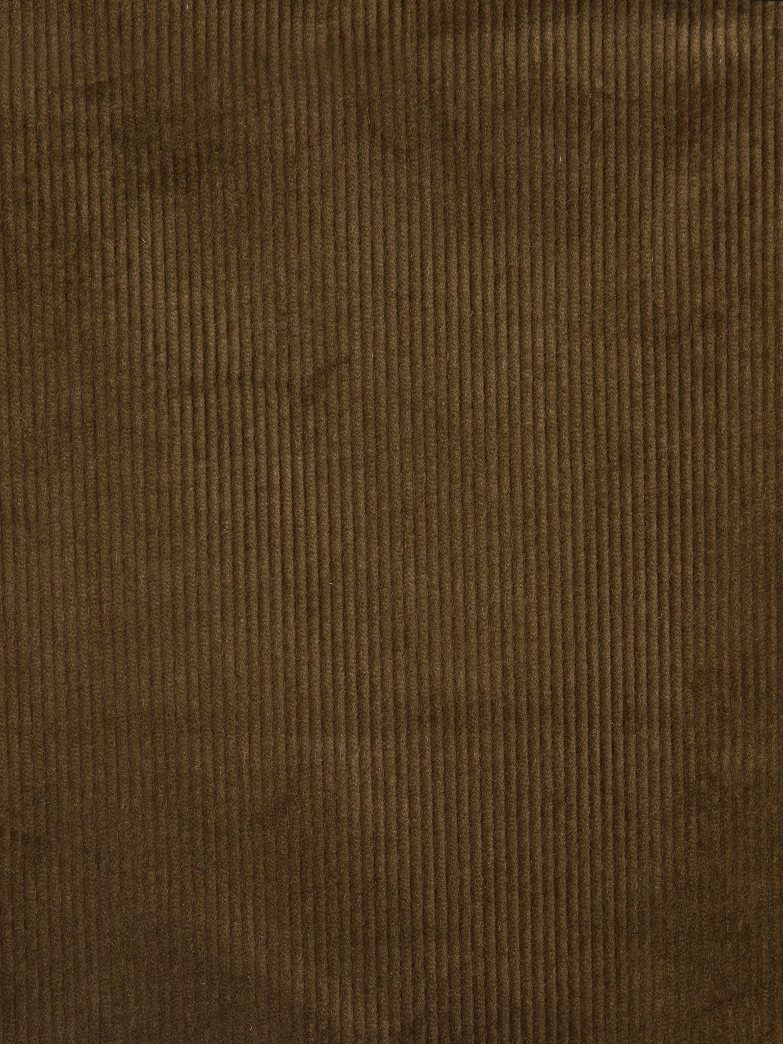 Heavy Cotton Corduroy – Fustian Fabric for Upholstery & Interiors, Lichen