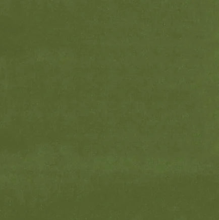 Solid green color swatch
Gainsborough Velvet Fabric