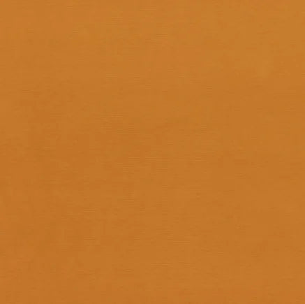 Solid orange color swatch
Gainsborough Velvet Fabric