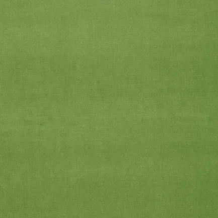 Solid green color swatch
Gainsborough Velvet Fabric