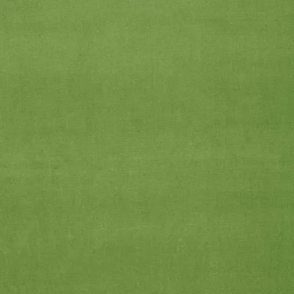 Solid green color swatch
Gainsborough Velvet Fabric