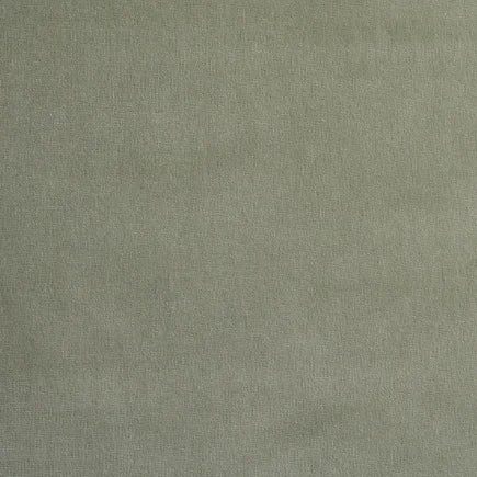 Solid light green color swatch
Gainsborough Velvet Fabric