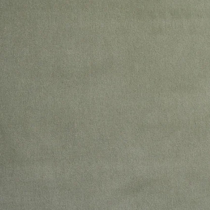 Solid light green color swatch
Gainsborough Velvet Fabric