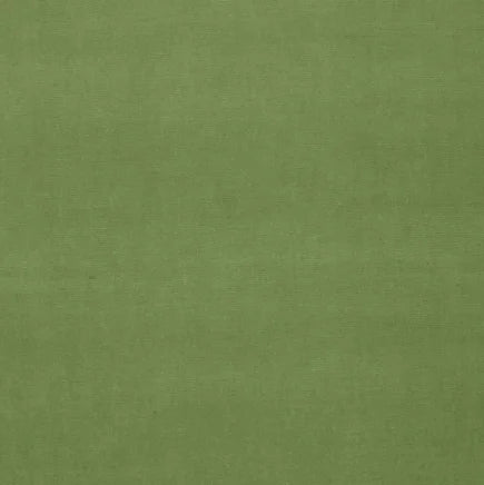 Solid green color swatch with a textured pattern
Gainsborough Velvet Fabric