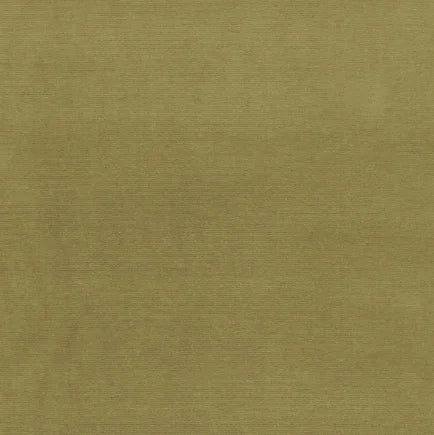 Solid green color swatch with a textured pattern
Gainsborough Velvet Fabric