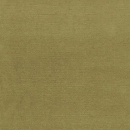 Solid green color swatch with a textured pattern
Gainsborough Velvet Fabric