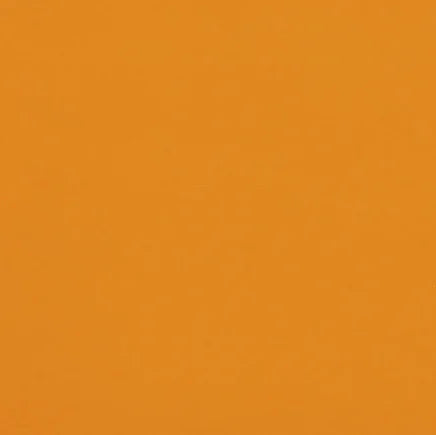 Solid orange color swatch
Gainsborough Velvet Fabric