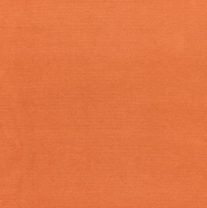 Gainsborough Velvet Fabric - melon
Velvet Fabric