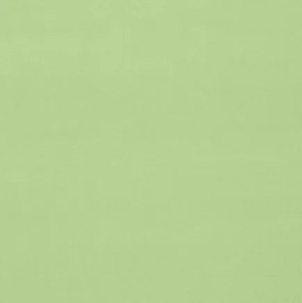Solid light green color swatchzz
Gainsborough Velvet Fabric