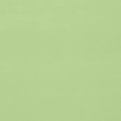 Solid light green color swatchzz
Gainsborough Velvet Fabric