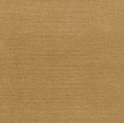 Solid brown color swatch
Gainsborough Velvet Fabric