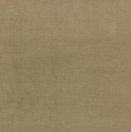 Beige fabric texture swatch
Gainsborough Velvet Fabric
