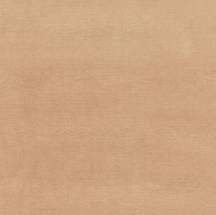 Solid beige color swatch with a subtle texture
Gainsborough Velvet Fabric