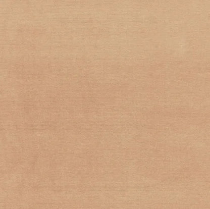 Solid beige color swatch with a subtle texture
Gainsborough Velvet Fabric