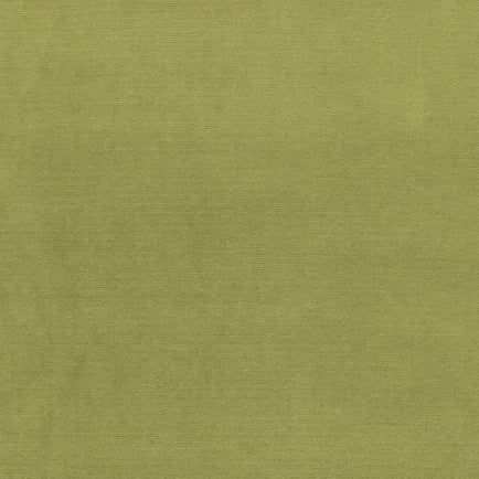 Solid green color swatch with a textured pattern
Gainsborough Velvet Fabric