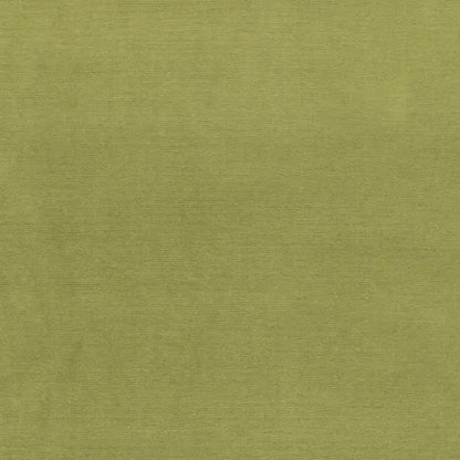 Solid green color swatch with a textured pattern
Gainsborough Velvet Fabric