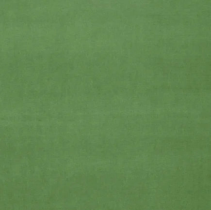 Solid green color swatch with a textured patternz
Gainsborough Velvet Fabric