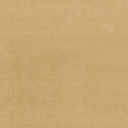 Beige fabric texture swatch
Gainsborough Velvet Fabric