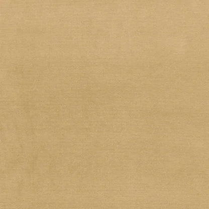 Beige fabric texture swatch
Gainsborough Velvet Fabric