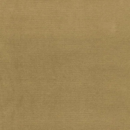 Solid beige color swatch with a subtle texture
Gainsborough Velvet Fabric