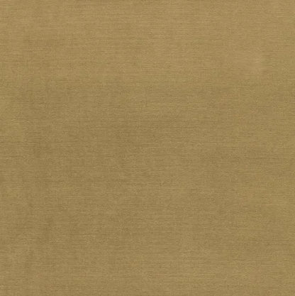 Solid beige color swatch with a subtle texture
Gainsborough Velvet Fabric