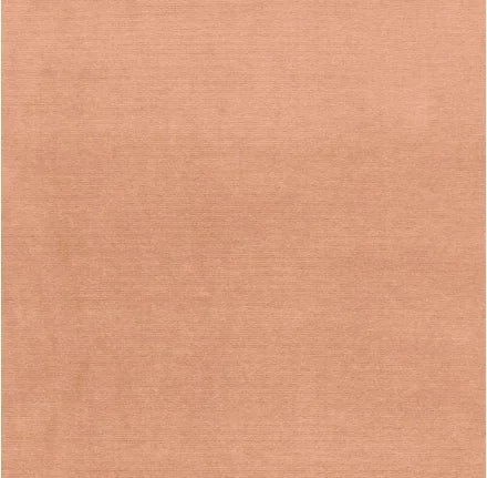 Solid peach-colored fabric texture swatch
Gainsborough Velvet Fabric