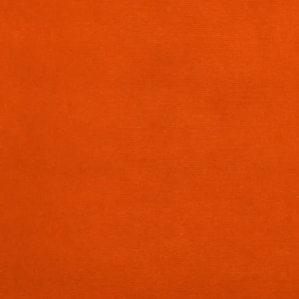 Solid orange color swatch with a textured pattern
Gainsborough Velvet Fabric
