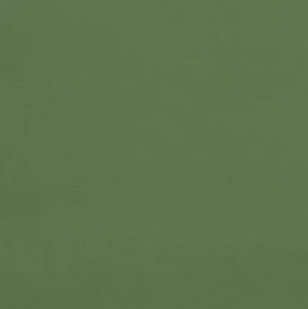 Solid green color swatch
Gainsborough Velvet Fabric