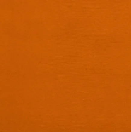 Solid orange color swatch with a textured pattern
Gainsborough Velvet Fabric