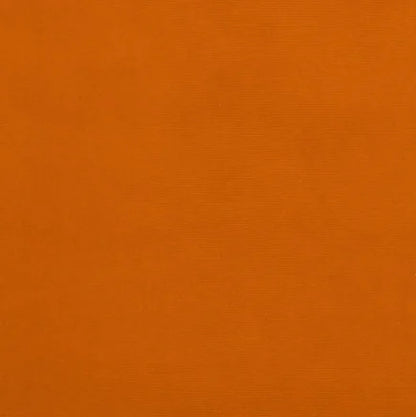 Solid orange color swatch with a textured pattern
Gainsborough Velvet Fabric