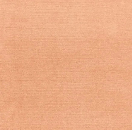 Solid peach color swatch with a textured pattern
Gainsborough Velvet Fabric