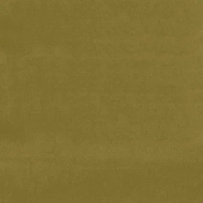 Solid green color swatch with a textured pattern
Gainsborough Velvet Fabric
